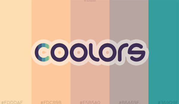 công cụ coolors