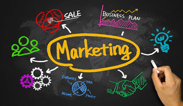 Chú trọng vào marketing