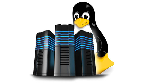 Cách phân biệt Hosting Linux và Hosting Windows 2