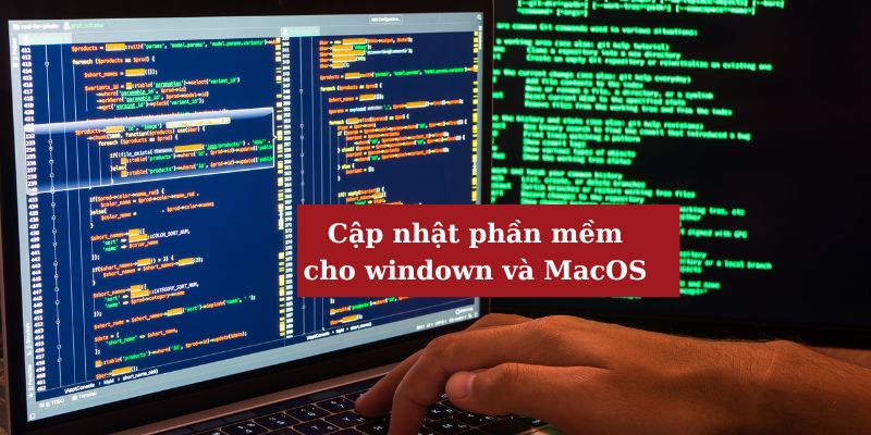 Thiết lập hệ thống phòng tránh mã độc