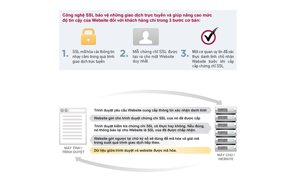Tổng hợp những thông tin về SSL bạn cần biết để bảo mật website 1