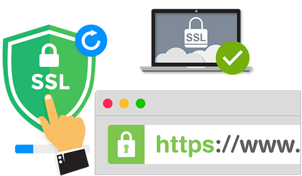 Tổng hợp những thông tin về SSL bạn cần biết để bảo mật website 2