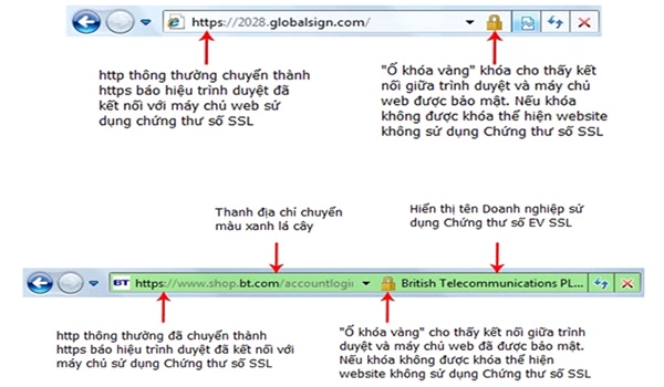 Tổng hợp những thông tin về SSL bạn cần biết để bảo mật website 4