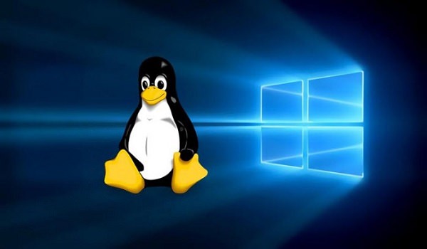 Nên chọn VPS Windows hay Linux?