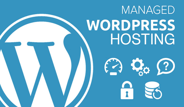 Dịch vụ Hosting Wordpress của Mắt Bão có gì nổi bật?2