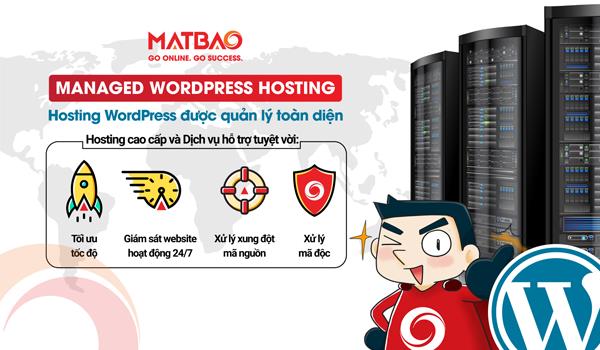 Mắt Bão đi đầu cung cấp dịch vụ Managed WordPress Hosting –Giải pháp tiết kiệm toàn diện cho doanh nghiệp