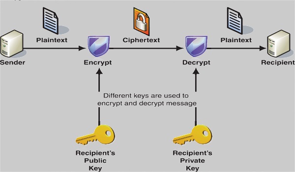 SSL có các mức mã hóa khác nhau nên bạn hãy chọn loại phù hợp với Website của mình.