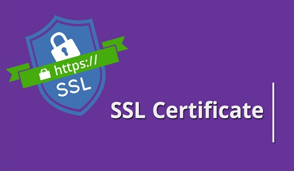  Khi mua SSL Certificate tại Mắt Bão, bạn sẽ nhận được sự hỗ trợ tối ưu nhất.