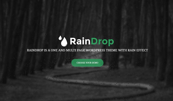 RainDrop là Theme WordPress đẹp mắt và cho phép tùy chỉnh Logo và Favicon.