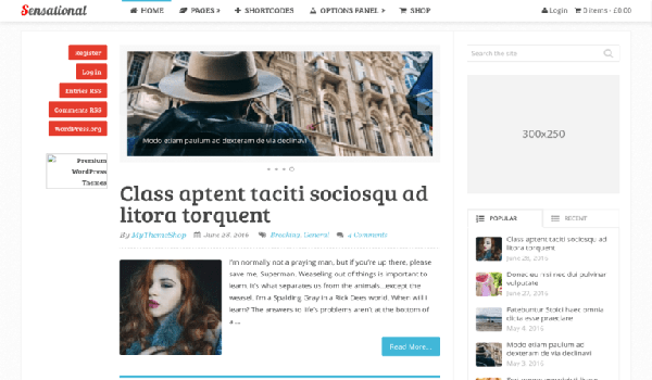 Top 10 theme Wordpress dành cho dân viết blog 3